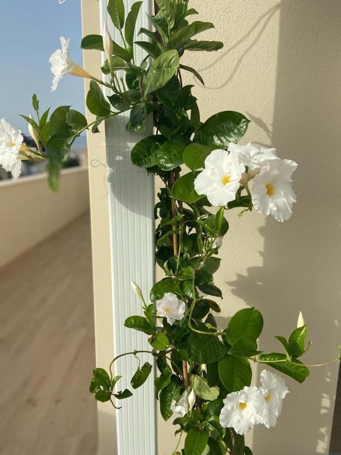 Rossini Penthouse Apartamento Cagliari Exterior foto
